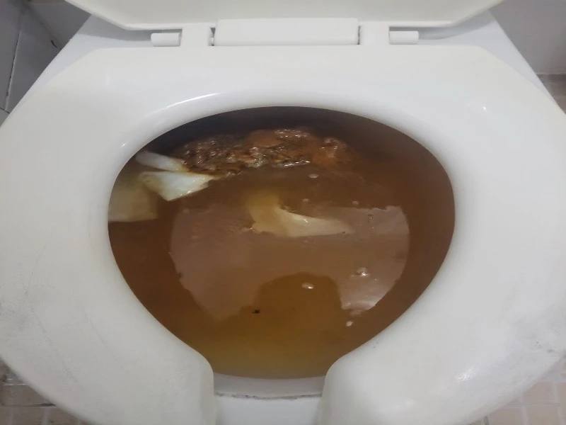 별내 변기막힘 작업사례 29