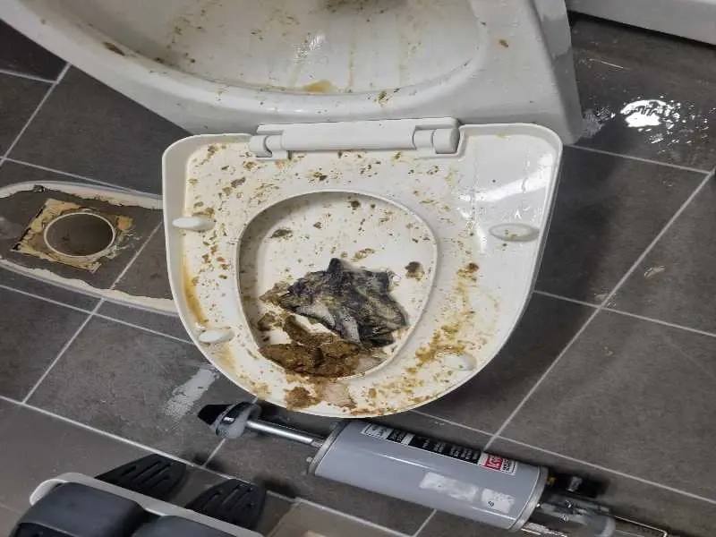 별내 변기막힘 작업사례 7