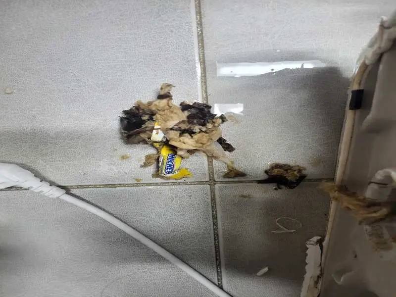 별내 변기 이물질 제거 사례 5